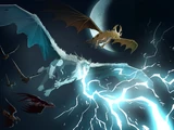 Dragons