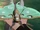 ArchangelLunaris.png