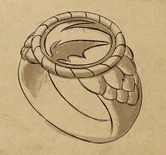 Karim's ring[37]