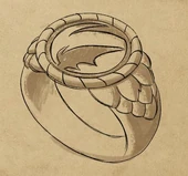 Karim's ring