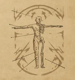 Skeleton model reference for the ancient practice of self-eating[56]