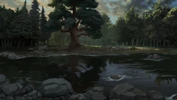 Katolis forest and stream