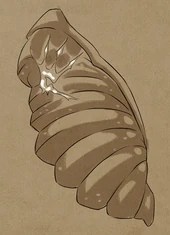 The Being's cocoon