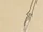 Credit40.png