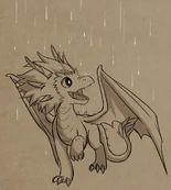Azymondias enjoying rain[11]