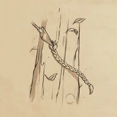 Rayla's severed braid