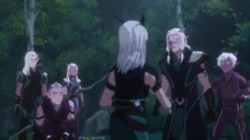 Runaan blames Rayla for botching the entire mission