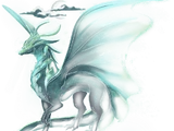 Moon Dragons