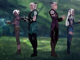 Moonshadow Elf Assassins