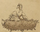 A Carrion Gull adopting a Giant Sea Slug