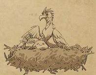 A Carrion Gull adopting a Giant Sea Slug[41]