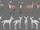 FawnModel.png
