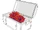 Blood Coral.png
