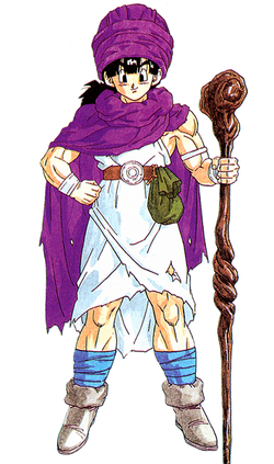 Hero (Dragon Quest V), Dragon Quest Wiki