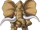 Phantaseyes