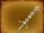Sacred lord's sword