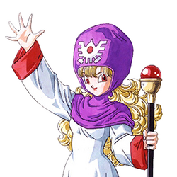 カテゴリ ドラゴンクエストiiのキャラクター Dragon Quest Wiki Fandom