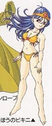 The Sage from Dragon Quest III wearing the magic bikini