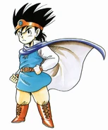 Hero Wayfarer's clothes