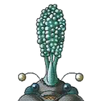 とうちゅうかそう Dragon Quest Wiki Fandom