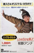 Cassette cover