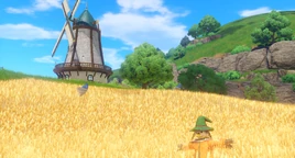 30661386288 c6aeecca50 o-1-