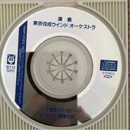 Mini CD detail