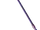 Hocus locus
