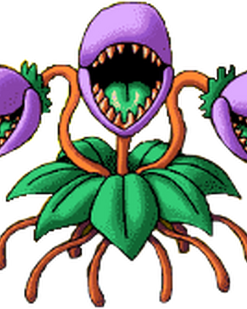 Venus Guytrap Dragon Quest Wiki Fandom Venus Guytrap Dragon Quest Wiki Fandom