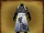 Calligrapher's robe