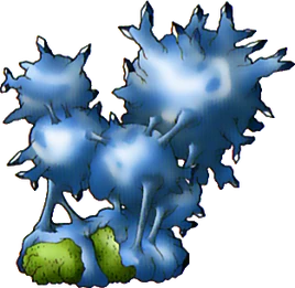 DQVIII - Waterweed mould