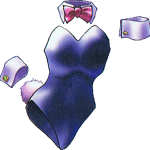 Bunny Suit Dragon Quest Wiki Fandom