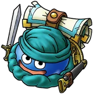 As Terry during the DQVI Event.