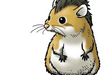 メルビン ドラゴンクエスト メルビン』キャラクター紹介