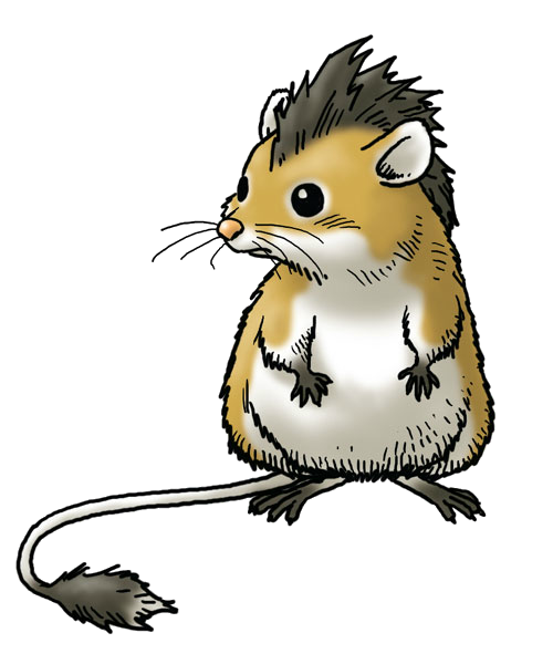 トーポ Dragon Quest Wiki Fandom トーポ Dragon Quest Wiki Fandom