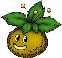 トロピカルスライム Dragon Quest Wiki Fandom トロピカルスライム Dragon Quest Wiki Fandom