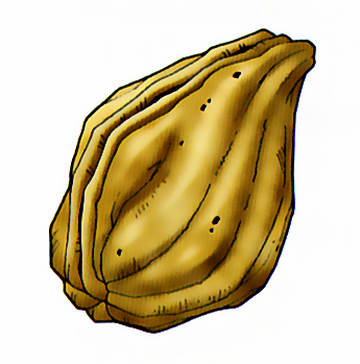 Seed of strength | Dragon Quest Wiki | Fandom