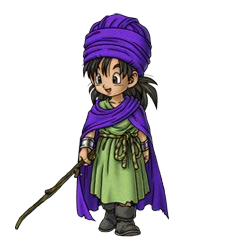 主人公 ドラゴンクエストv Dragon Quest Wiki Fandom