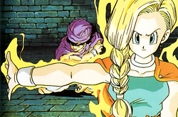 Bianca Dragon Quest Wiki Fandom