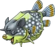 DQVIII - Wild boarfish