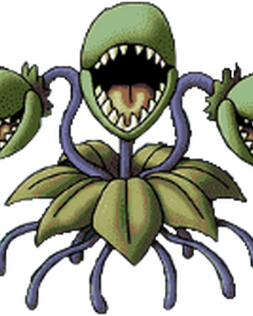 マンドレイク Dragon Quest Wiki Fandom