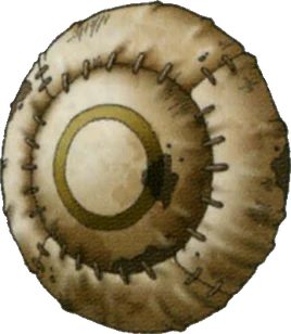 DQVIII - Leather shield