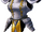 Full plate armour