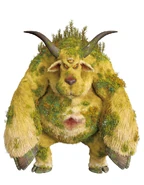 Bjørn