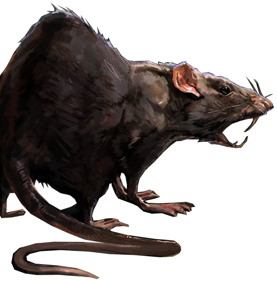 Rato Gigante  Ratos gigantes, Dungeons e dragons, Personagens dungeons and  dragons
