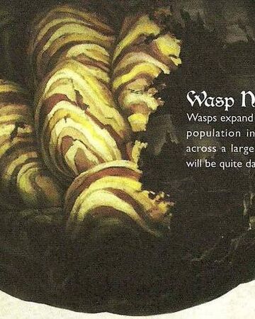 Wasp Nest Dragon S Crown Wiki Fandom