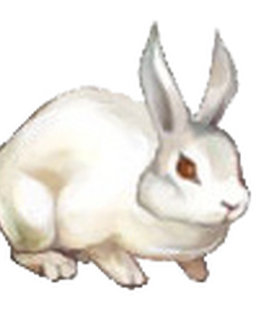 dragon s crown wiki fandom