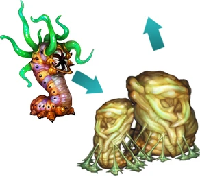 Doom Beetle Evolution