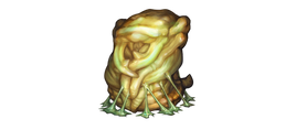 Pupa
