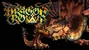 Dragon's Crown